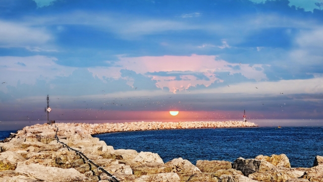 米乐集团:家用乒乓球台颜色怎么选